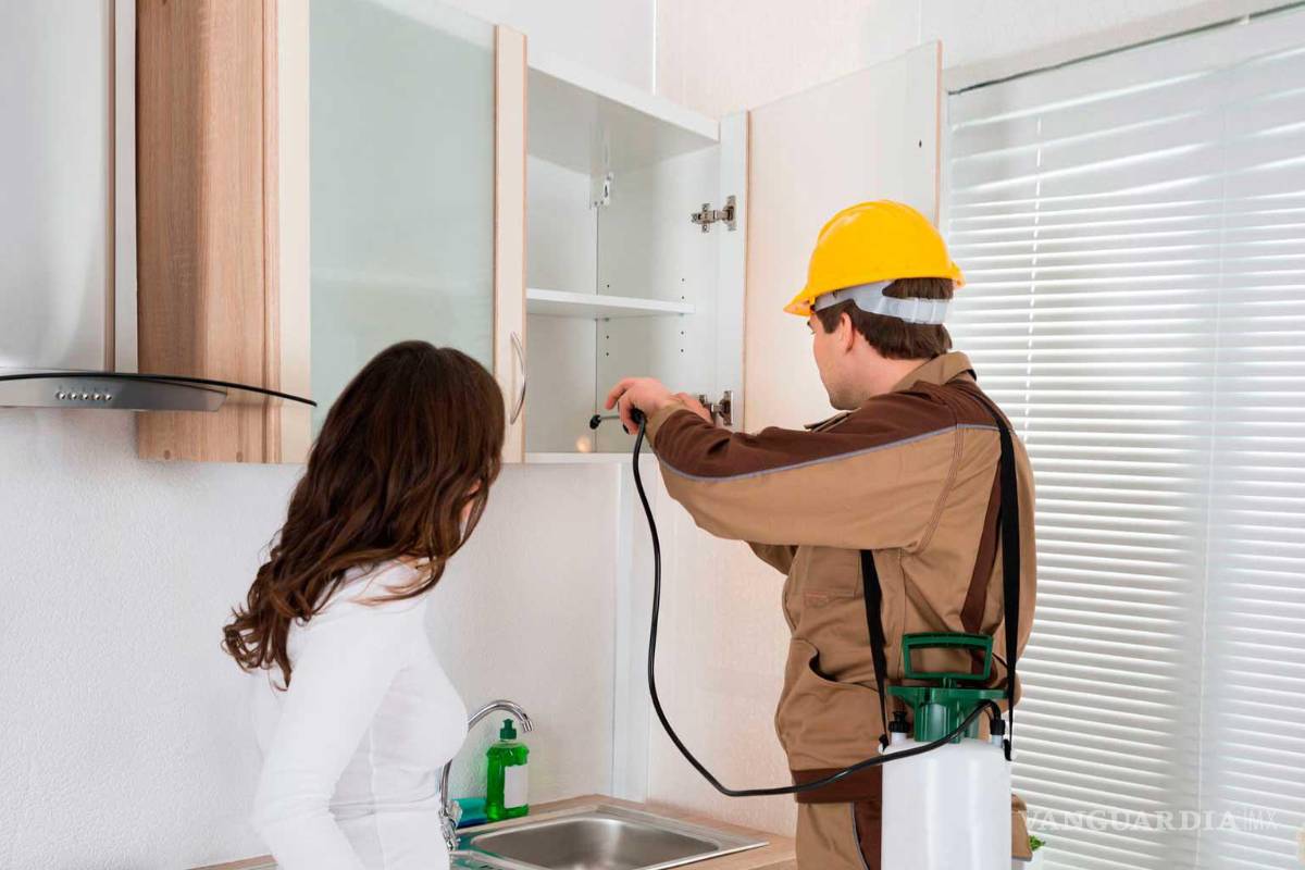 Obliga clima de Piedras Negras a fumigar de manera preventiva cada tres a seis meses