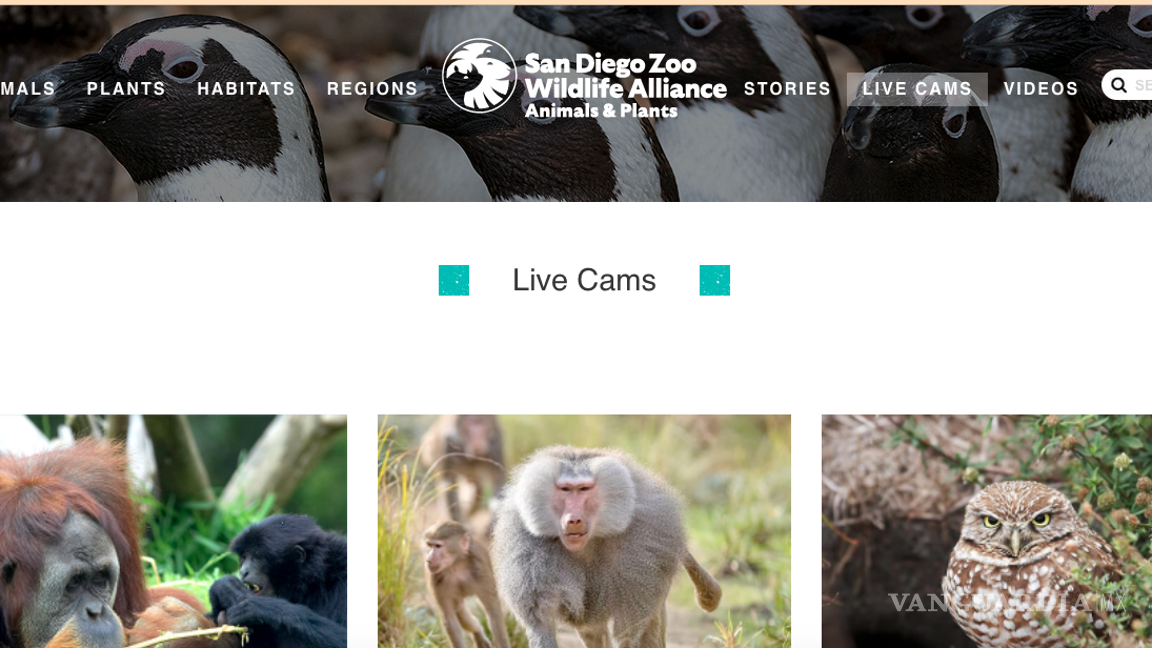 $!Viaja desde casa en estos sitios de internet