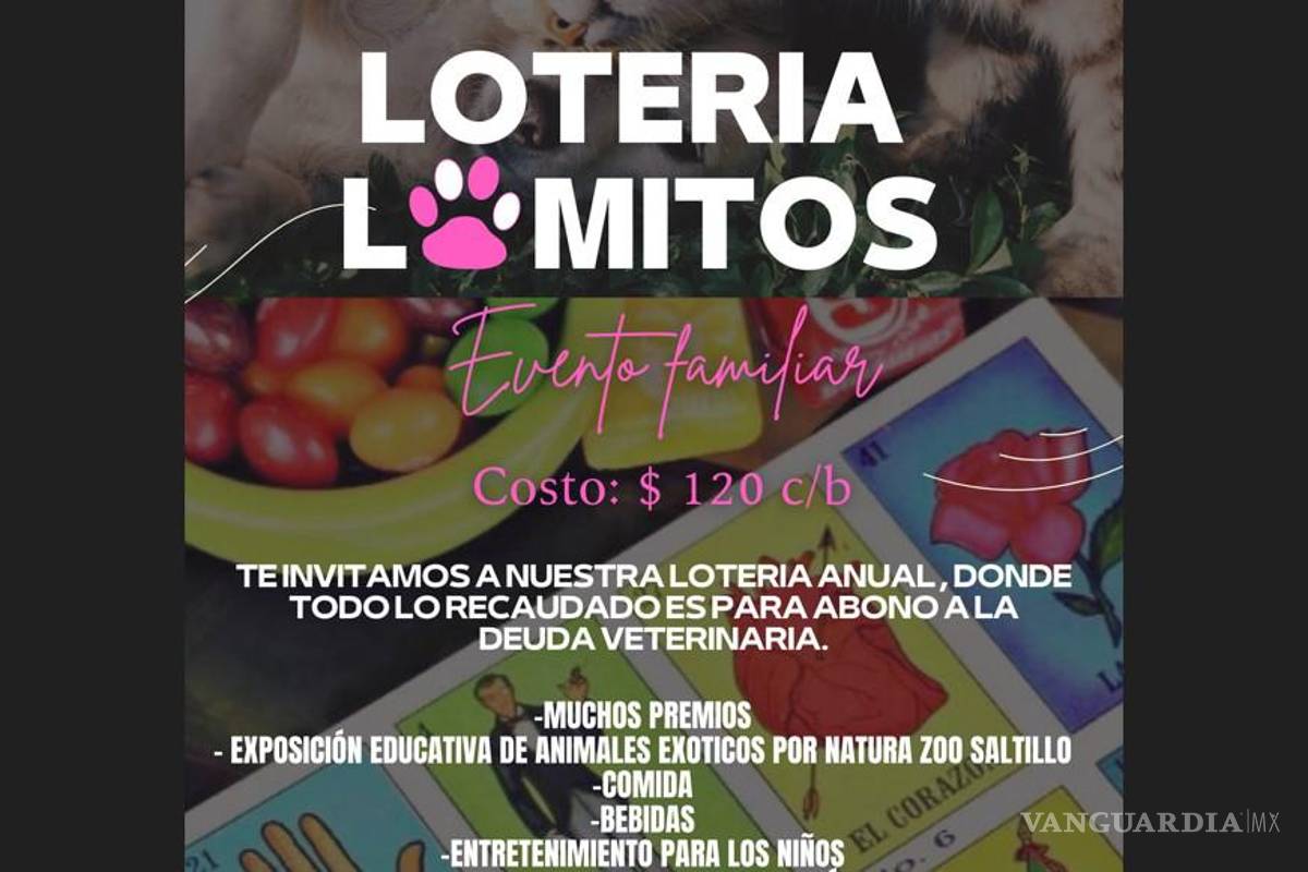 Invita fundación saltillense a lotería para ayudar a lomitos callejeros