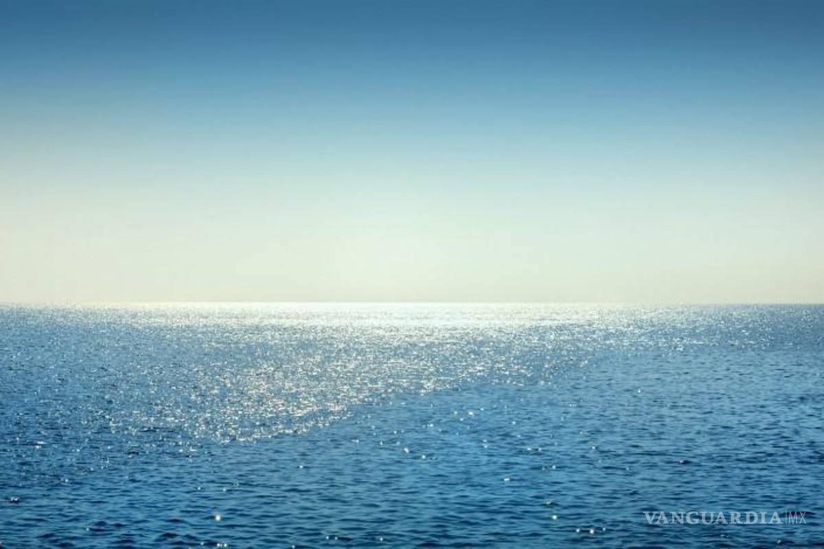 El calor extremo pone en peligro de extinción a 50 especies marinas en el Mediterráneo