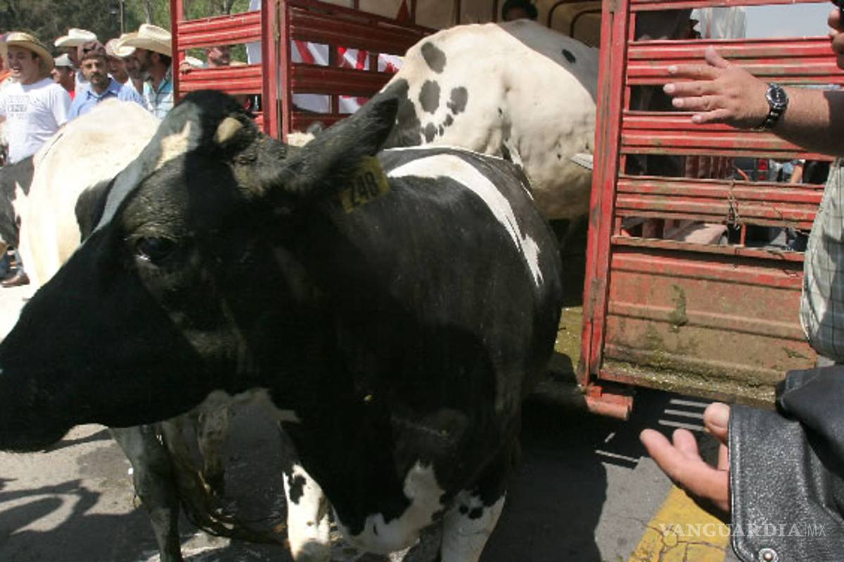Hasta 10 años de cárcel para quien robe ganado