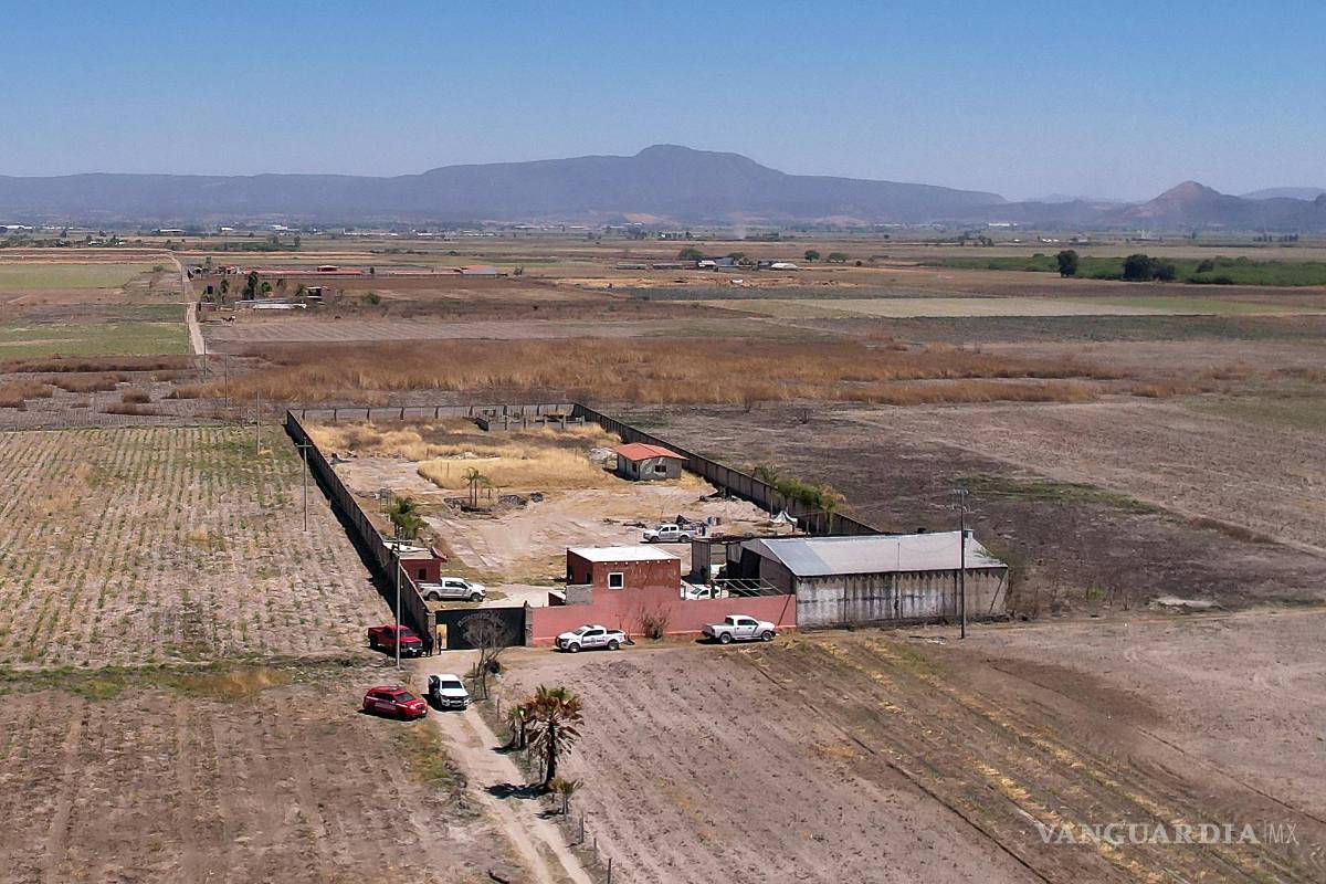 Teuchitlán: ¡Basta ya! El horror de los cárteles y la complicidad del Estado debe parar