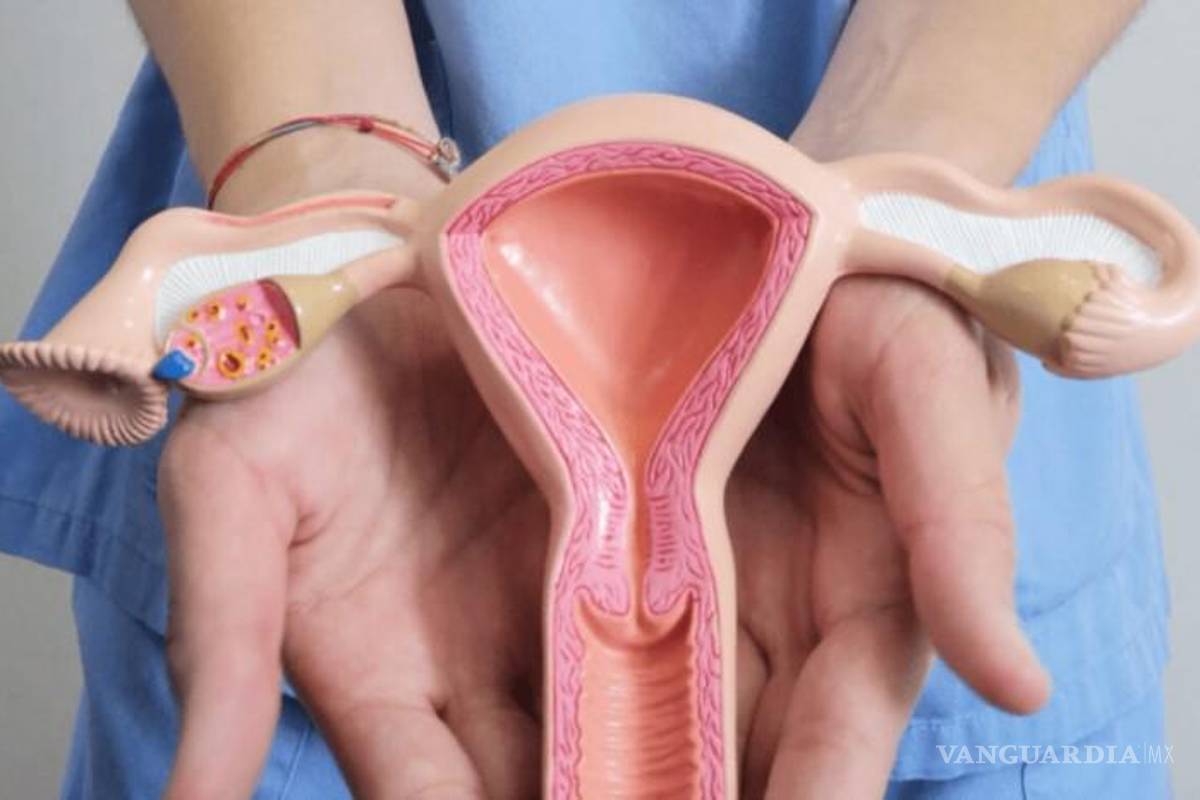 Endometriosis la terrible enfermedad que padecen 35% de las mexicanas