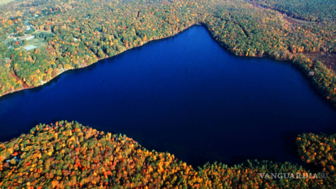 Los lagos están perdiendo oxígeno y sus habitantes están en peligro