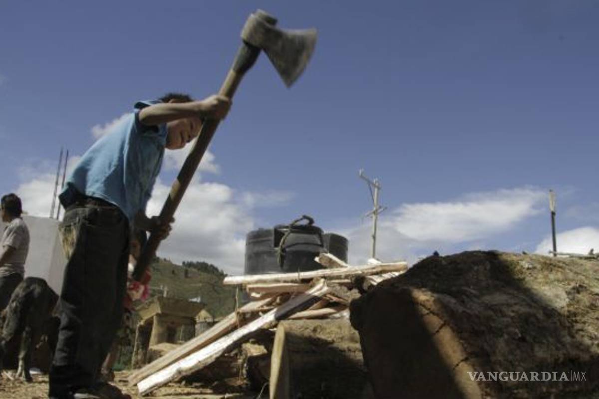 Dos millones de niños trabajan en México, una tercera parte lo hace en sector agrícola: Save the Children