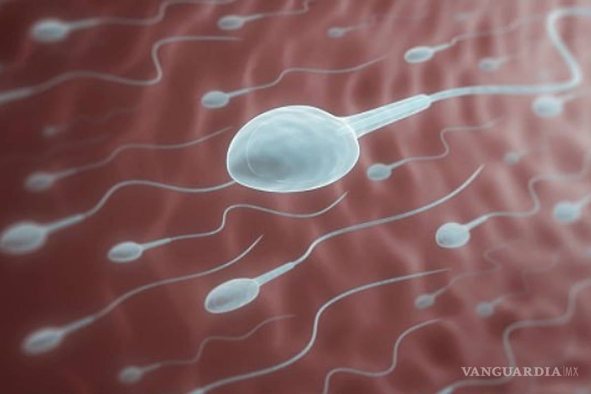 Calidad del semen indica estado de salud masculina