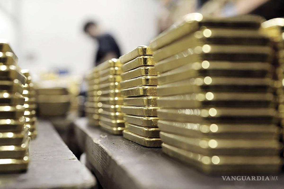 “Oro, petróleo y aguacates”, las nuevas venas sangrantes de América Latina