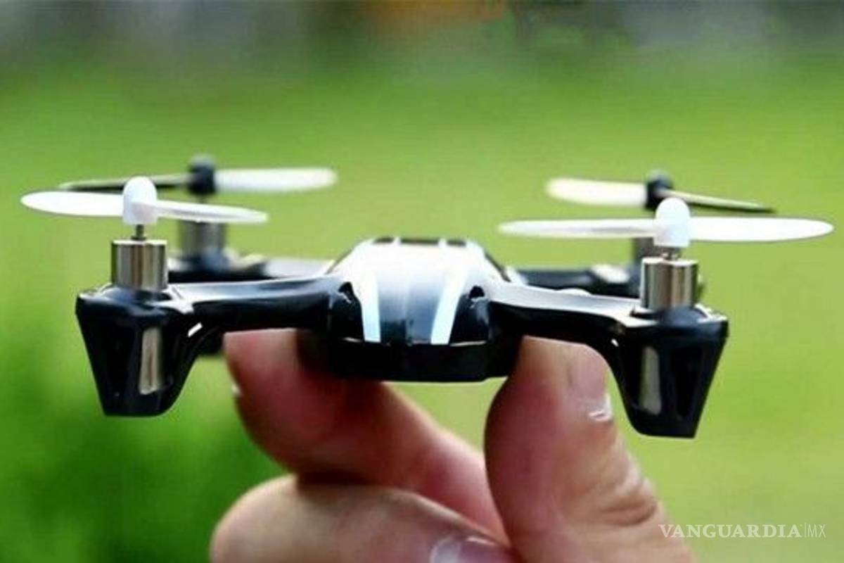 Minidrones con gel pegajoso podrían suplir a insectos polinizadores