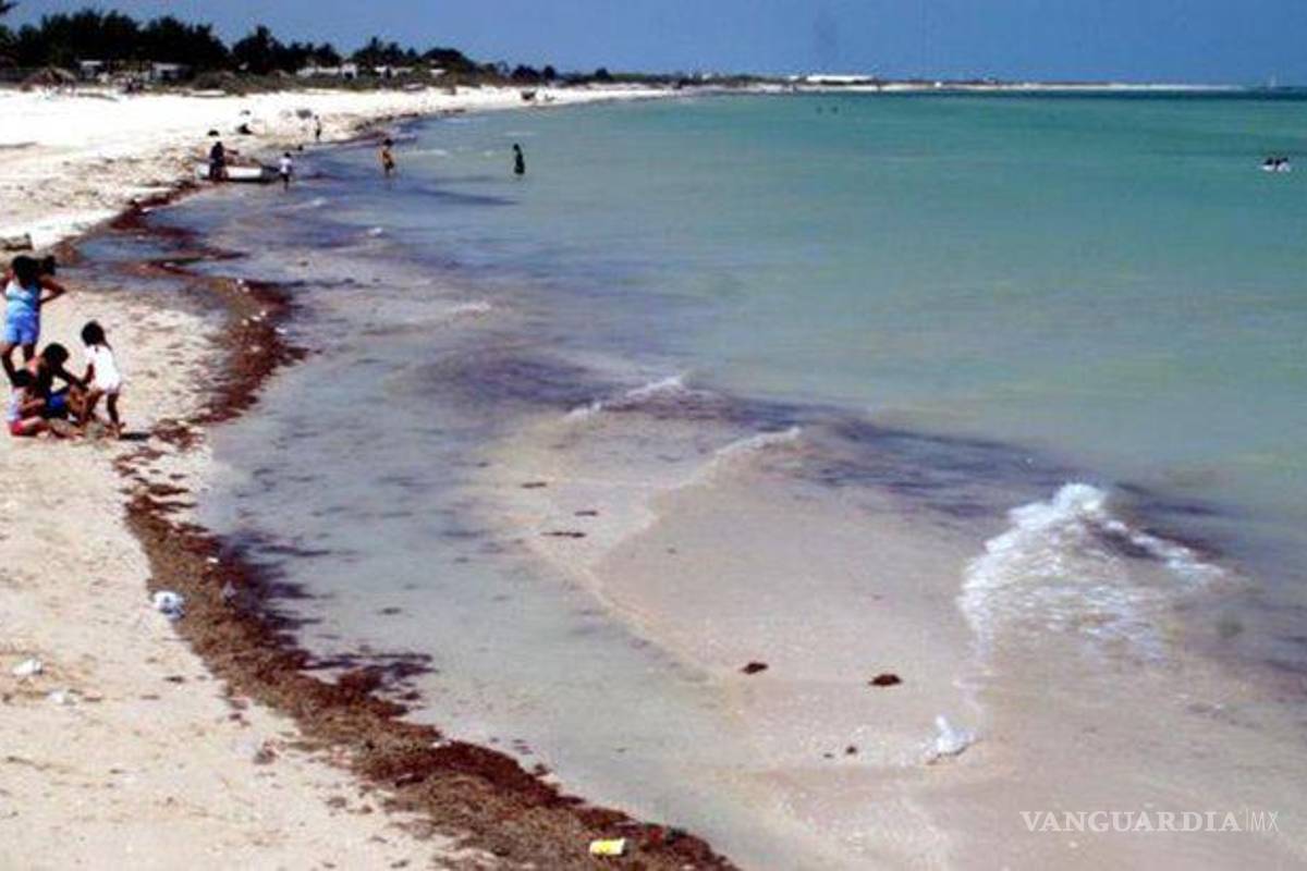 Llega marea roja a Sinaloa, decretan veda temporal en Navolato
