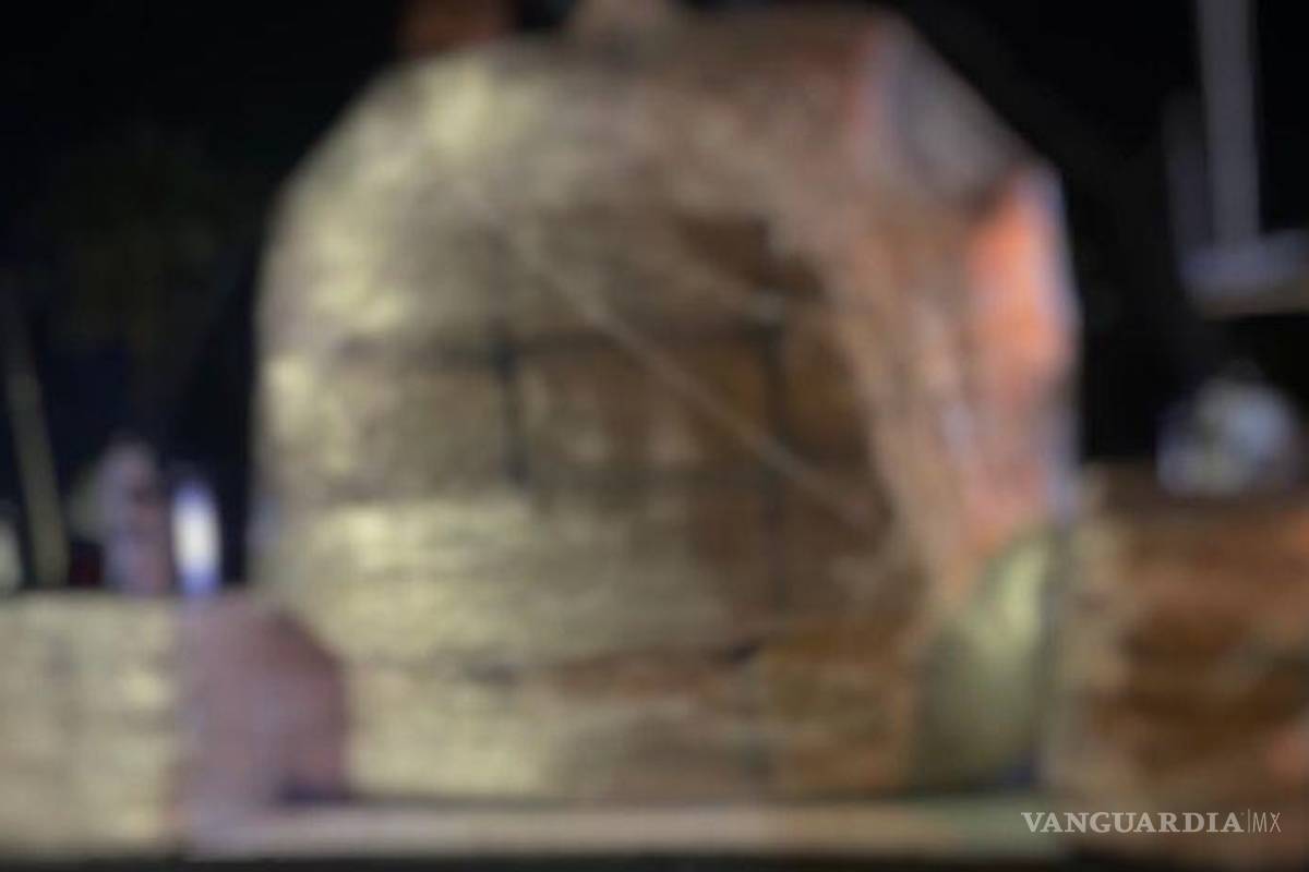 Grupo de Reacción Laguna realiza importante decomiso de marihuana