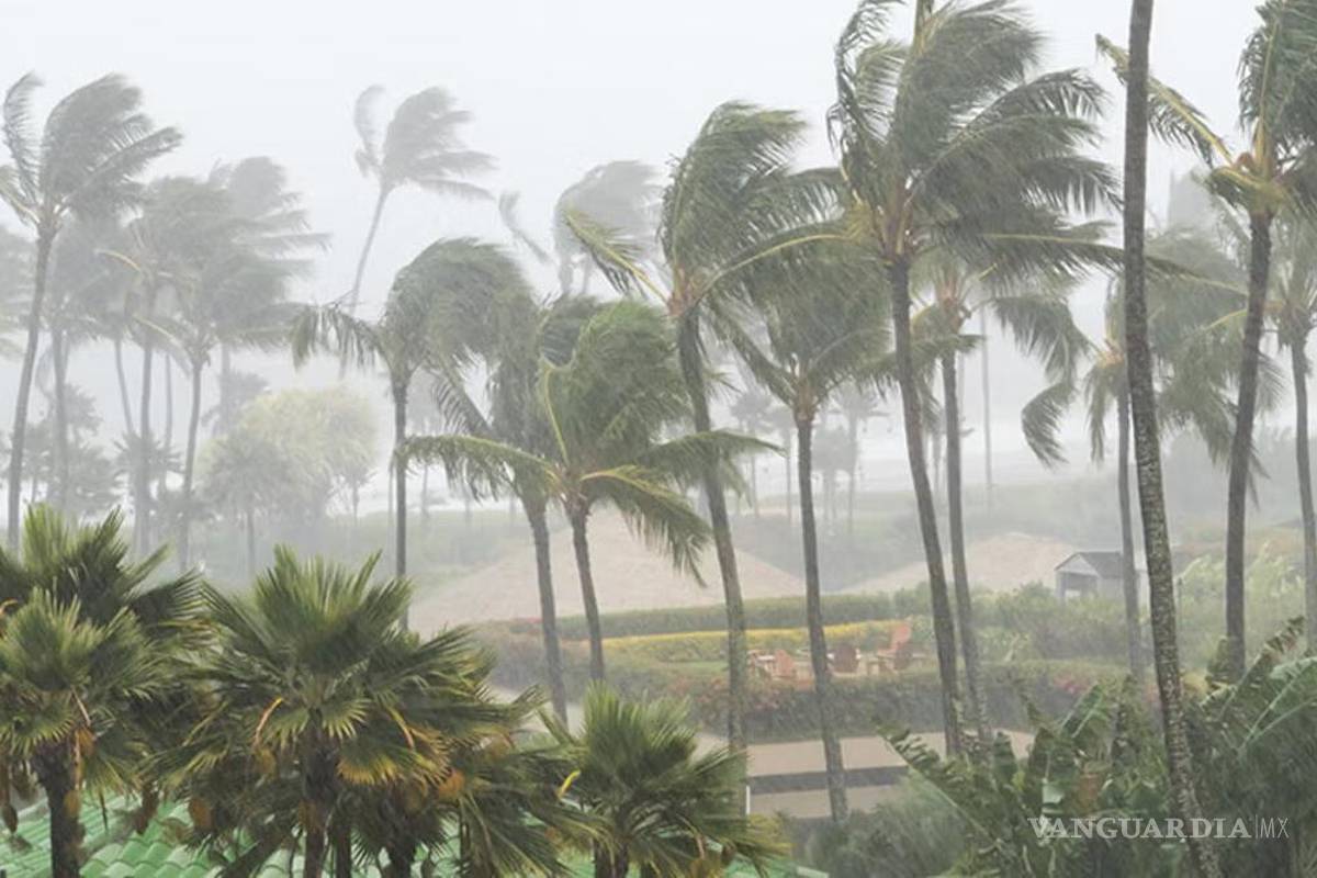 ¡Se forma el Primer Ciclón Tropical en México!... junto a nuevo Frente Frío, azotarán con fuertes lluvias, torbellinos y granizadas