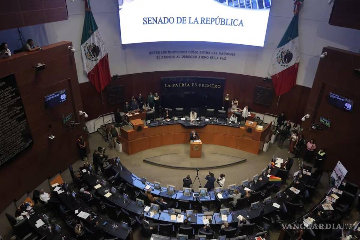 Reforma al amparo: académicos y activistas debatirán en la Cámara Alta