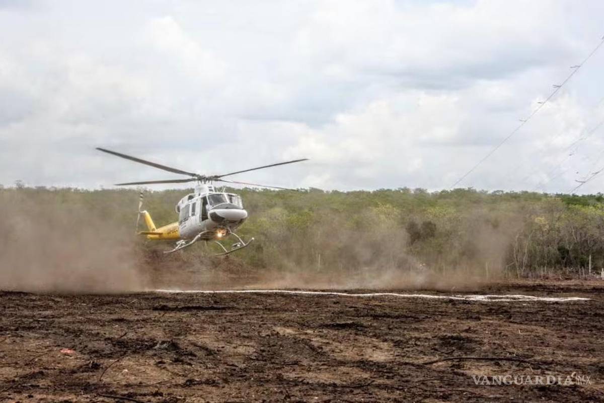 Se desploma helicóptero de la CFE en Jalisco; mueren dos personas