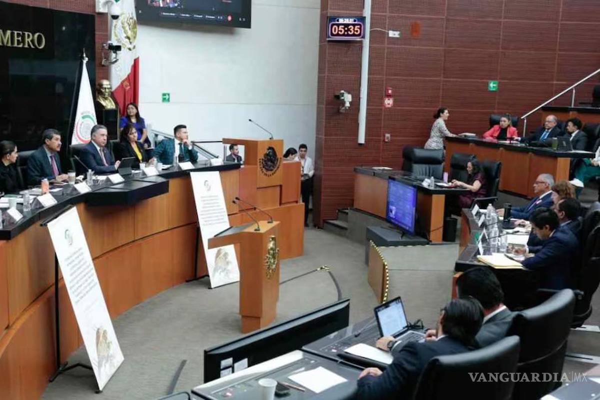 Reforma a Ley de Amparo divide a juristas en el Senado