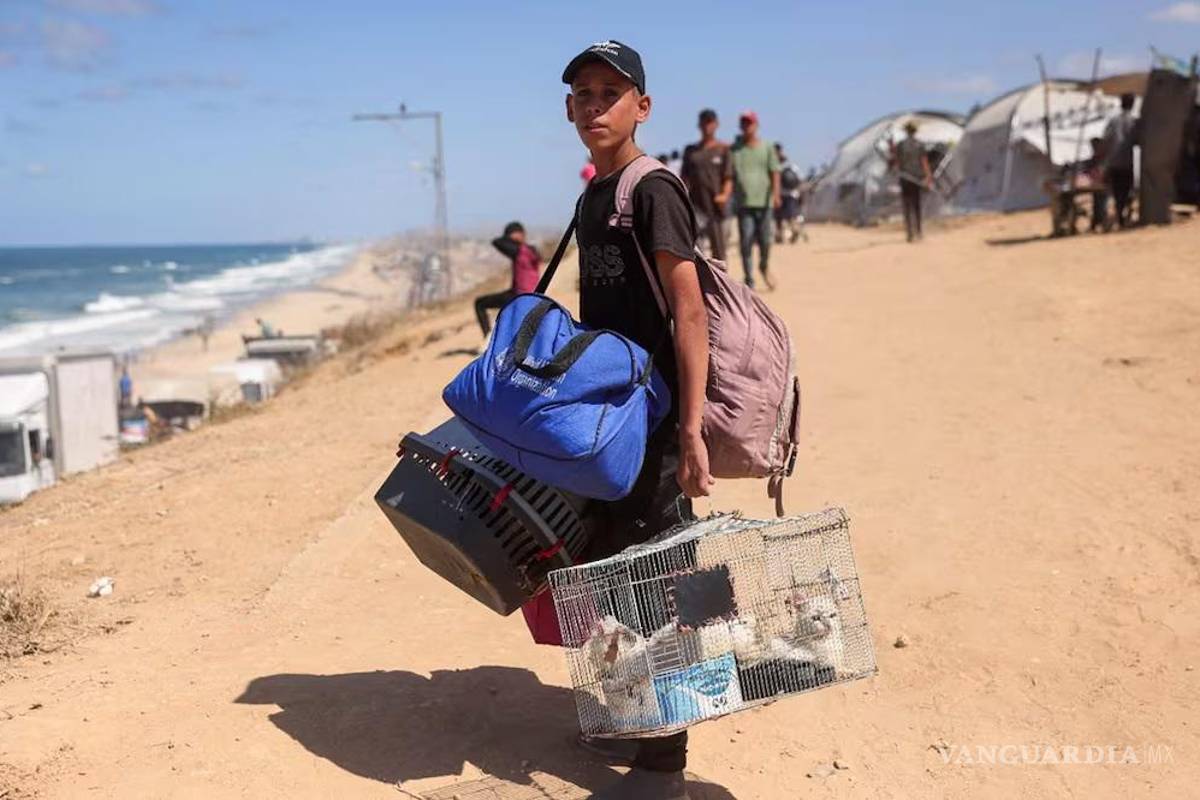 México abrirá sus puertas a niños palestinos; embajadora agradece apoyo de Sheinbaum y Noroña