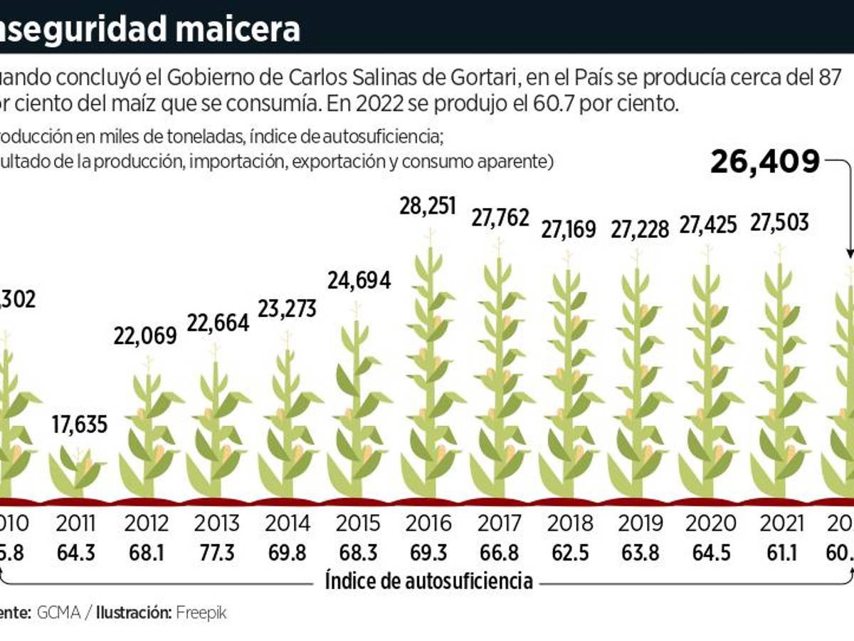 $!Se estanca con López Obrador la producción de maíz en México