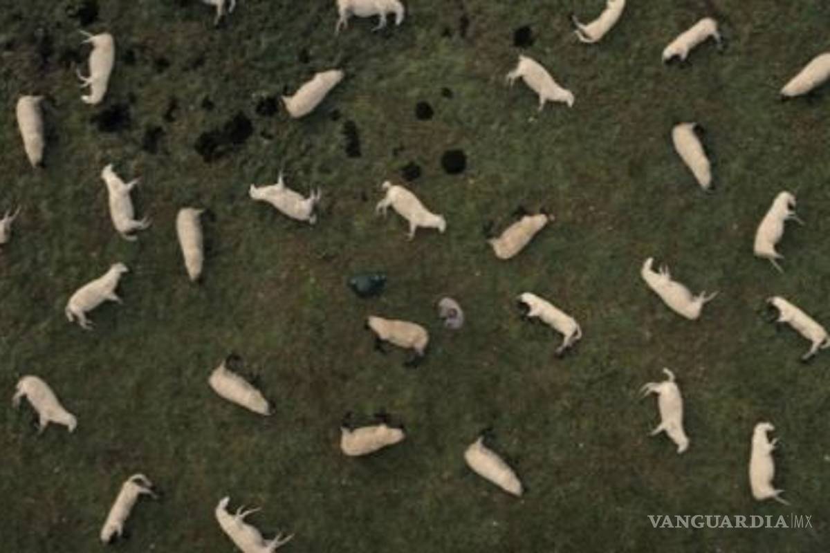 Dark, nueva serie de Netflix ¿Una versión macabra y sangrienta de Stranger Things?