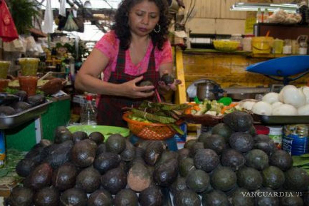 Profeco recomienda comparar precios al comprar aguacate