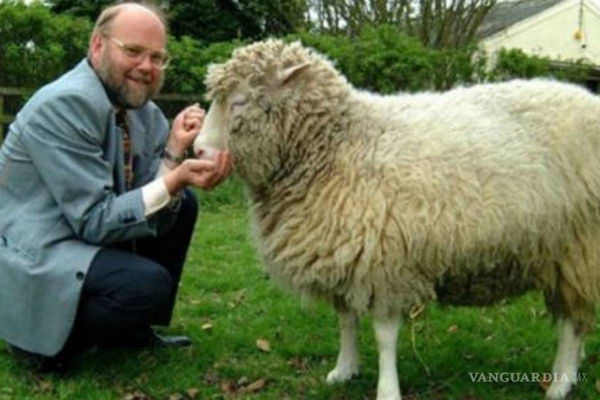 A 20 años de la clonación de Dolly, un hito de la genética