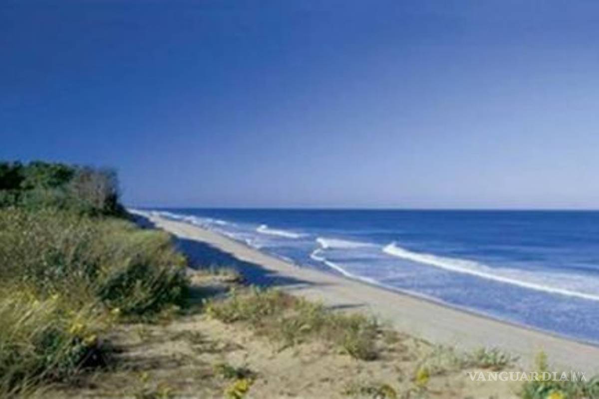 Agua de Fukushima llegará este año a costas de EU con mínima radiación