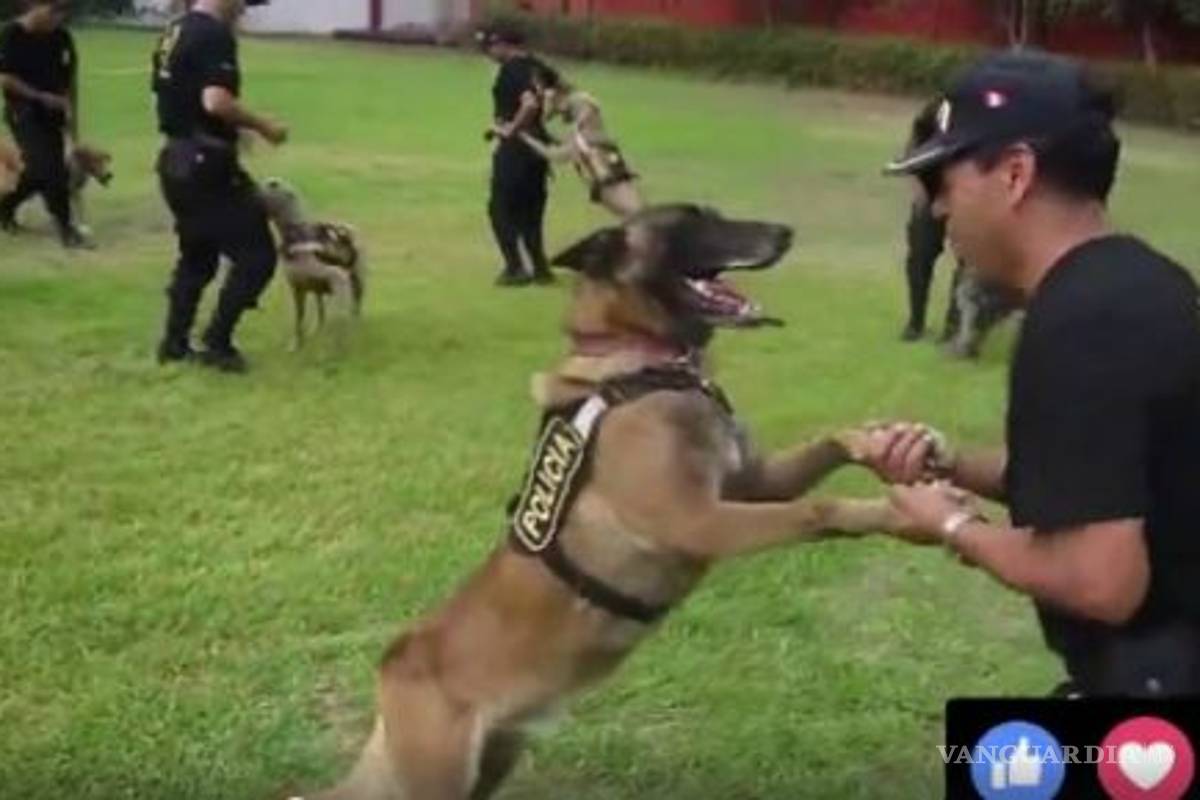 Policías de Perú bailan con sus perros al ritmo del ‘pasito perrón’