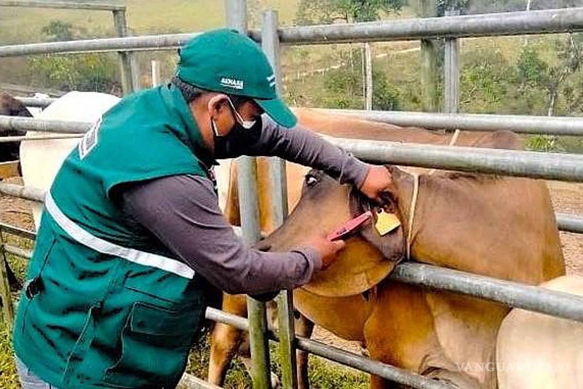 Piden ganaderos crear Unidad de Inteligencia Especializada contra crimen en sector pecuario