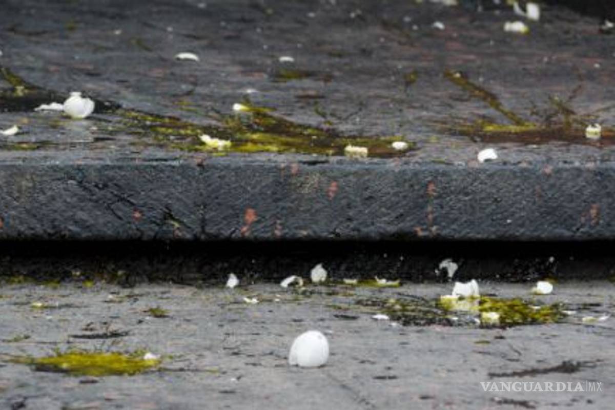 Estudiantes atacan a 'huevazos' a ancianos (video)
