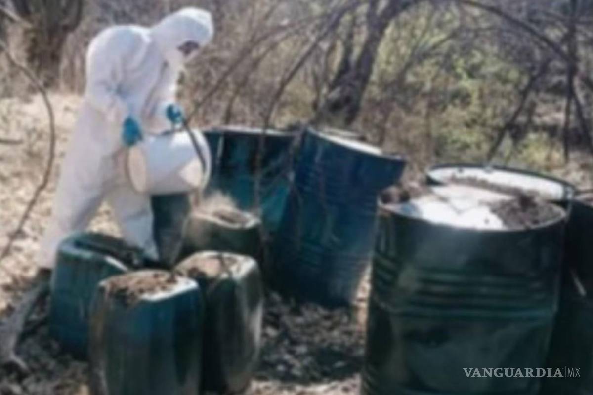 Dan fuerte golpe al narcotráfico en Sinaloa