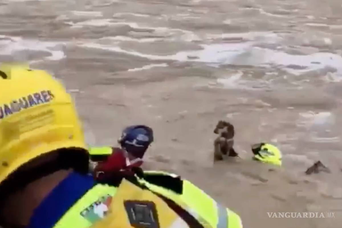 Corriente casi se lleva a perro en Santa Catarina, Nuevo León; graban su rescate (VIDEO)