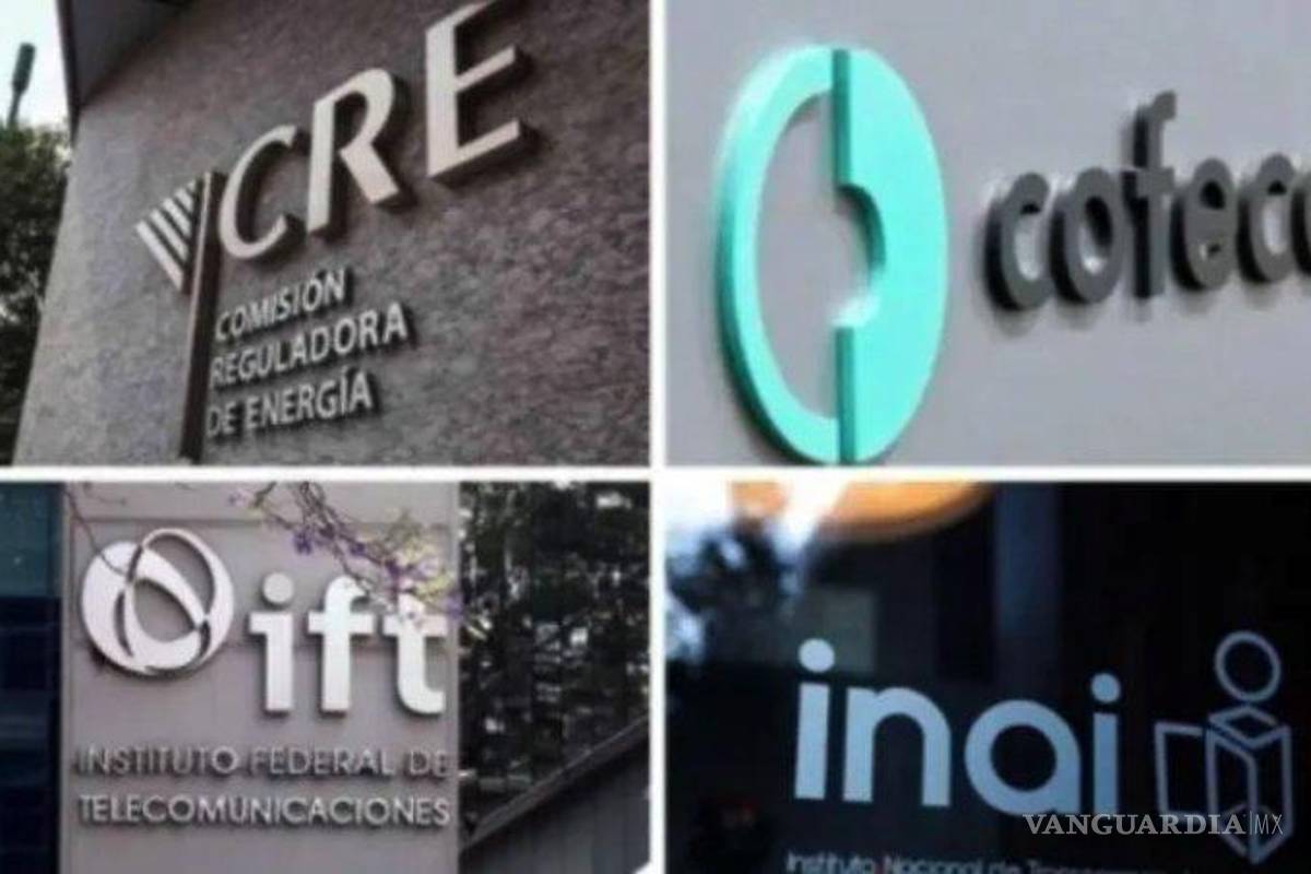 Eliminación de organismos autónomos... ‘Indefensión ciudadana: ¡Bienvenida!’