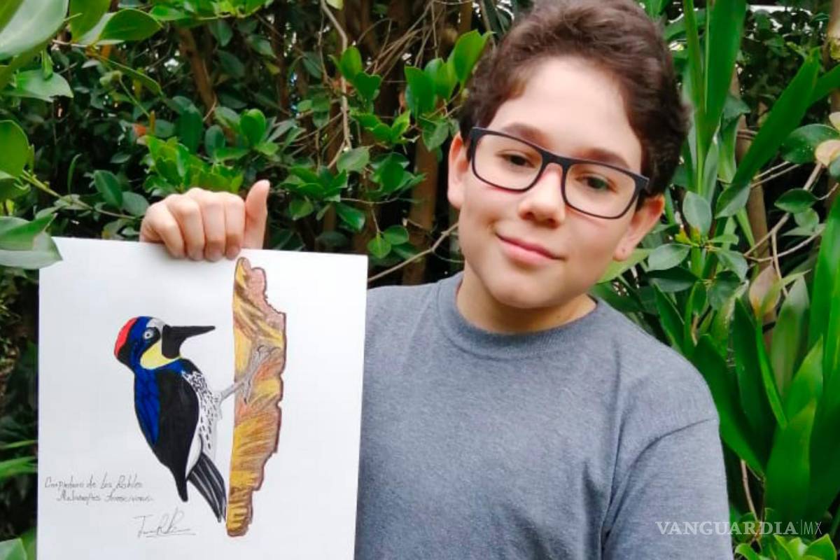 A sus 14 años realiza una guía de aves en Colombia y es premiado