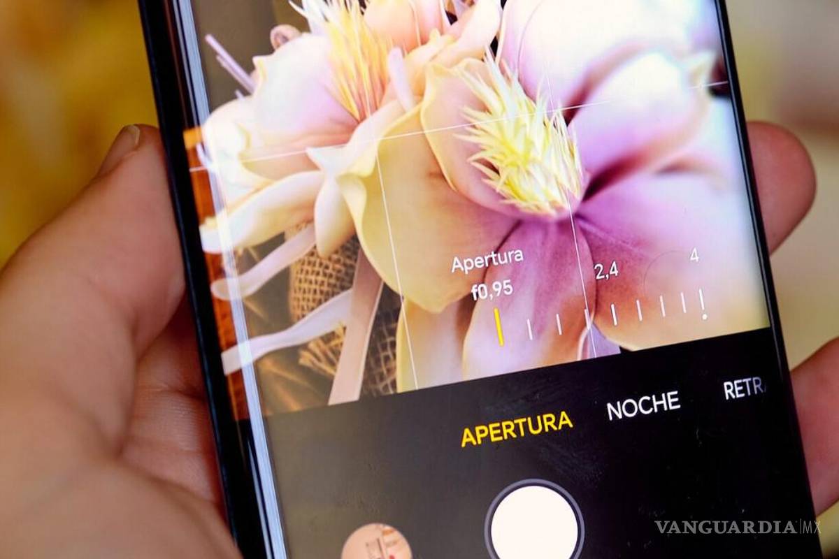 UAdeC ofrece curso práctico de fotografía con móvil para principiantes y entusiastas