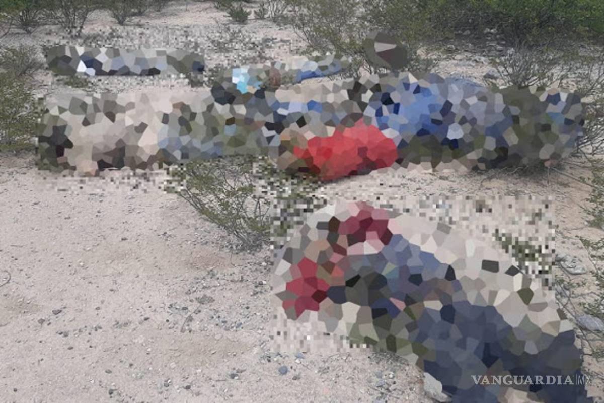Dejan nueve cuerpos en carretera de San Luis Potosí