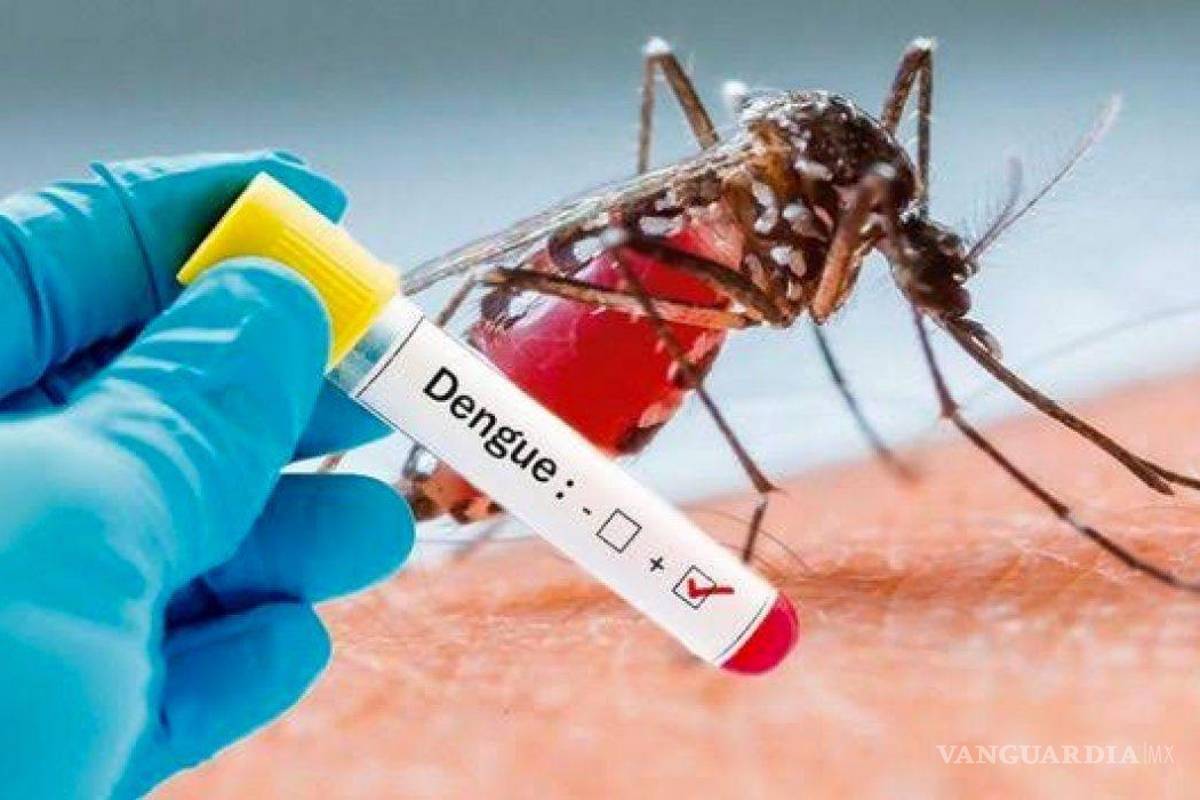 ¿Qué es el dengue y por qué es tan peligroso?... aumentan casos un 33% en México