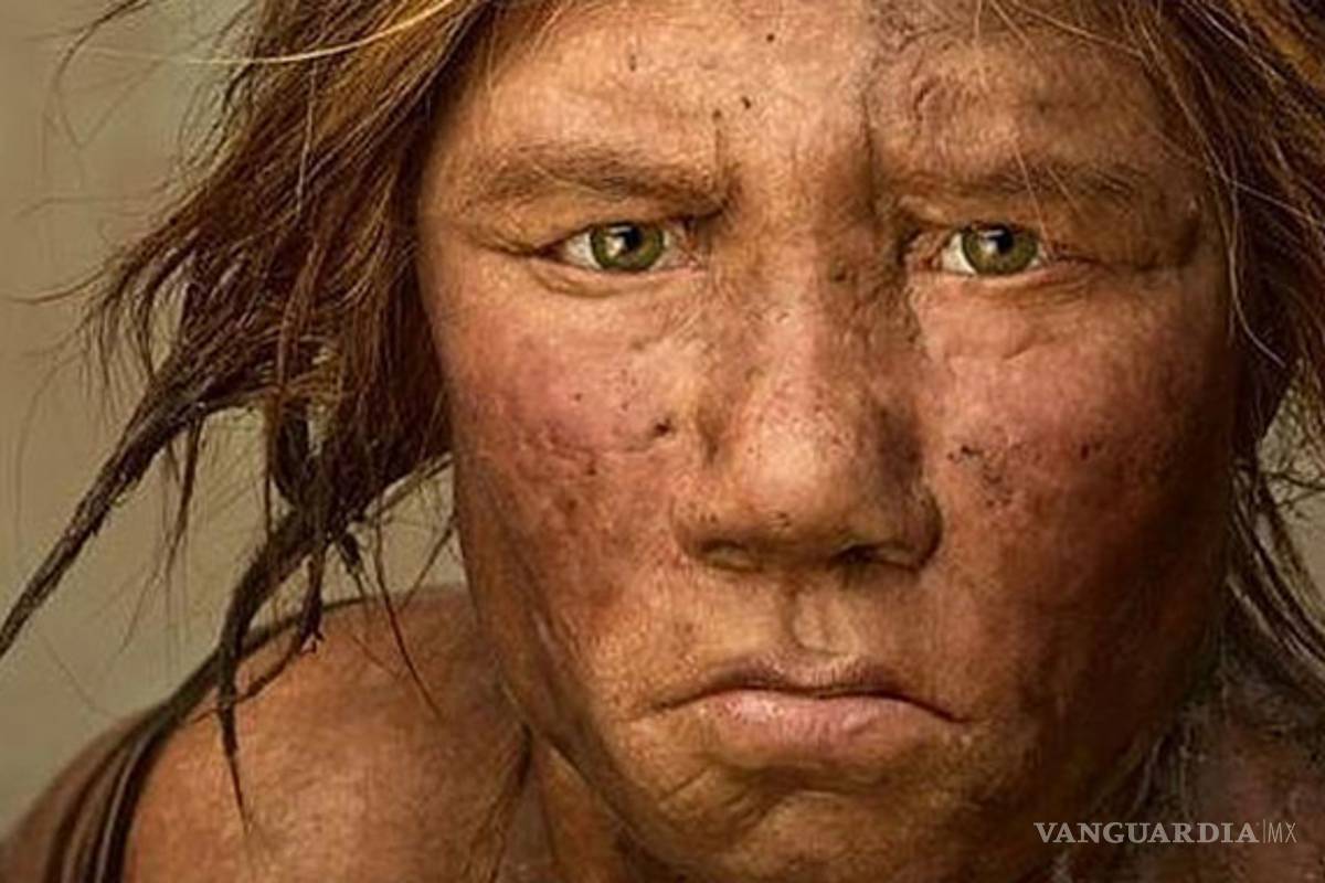 $!Homo sapiens son responsables de la desaparición de los "hobbits"