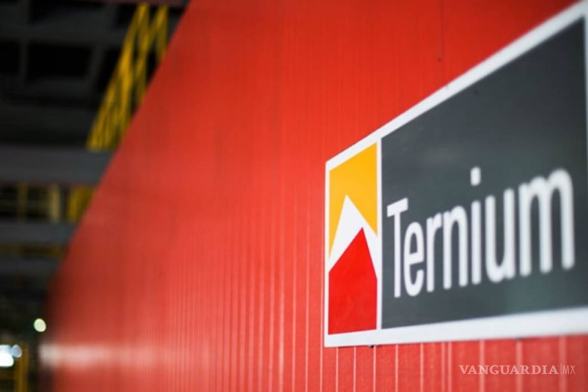 Siderúrgica Ternium ve adquisición en México