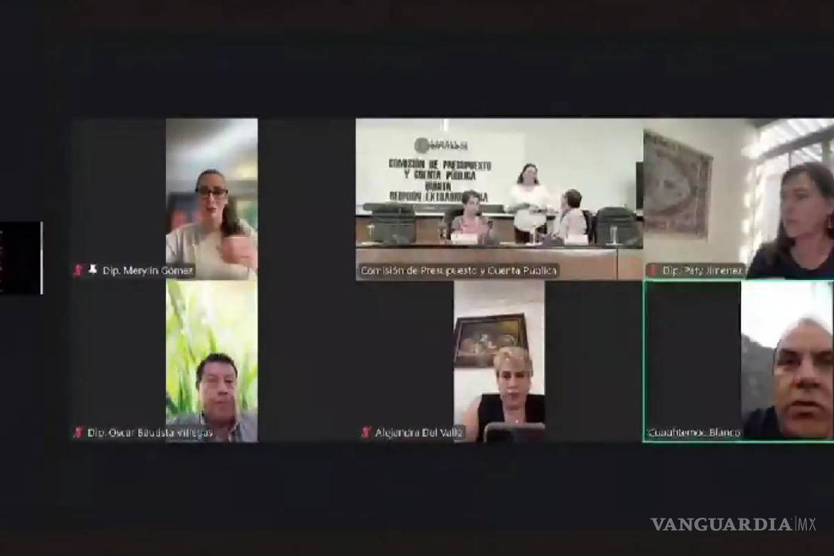 Pobres diputados tan cínicos