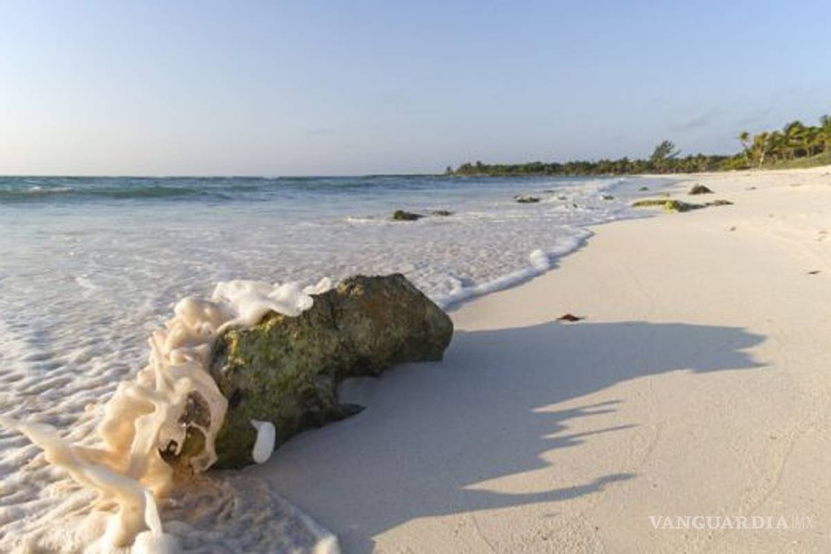 Diputados frenan a empresarios que se 'apoderan' de las playas
