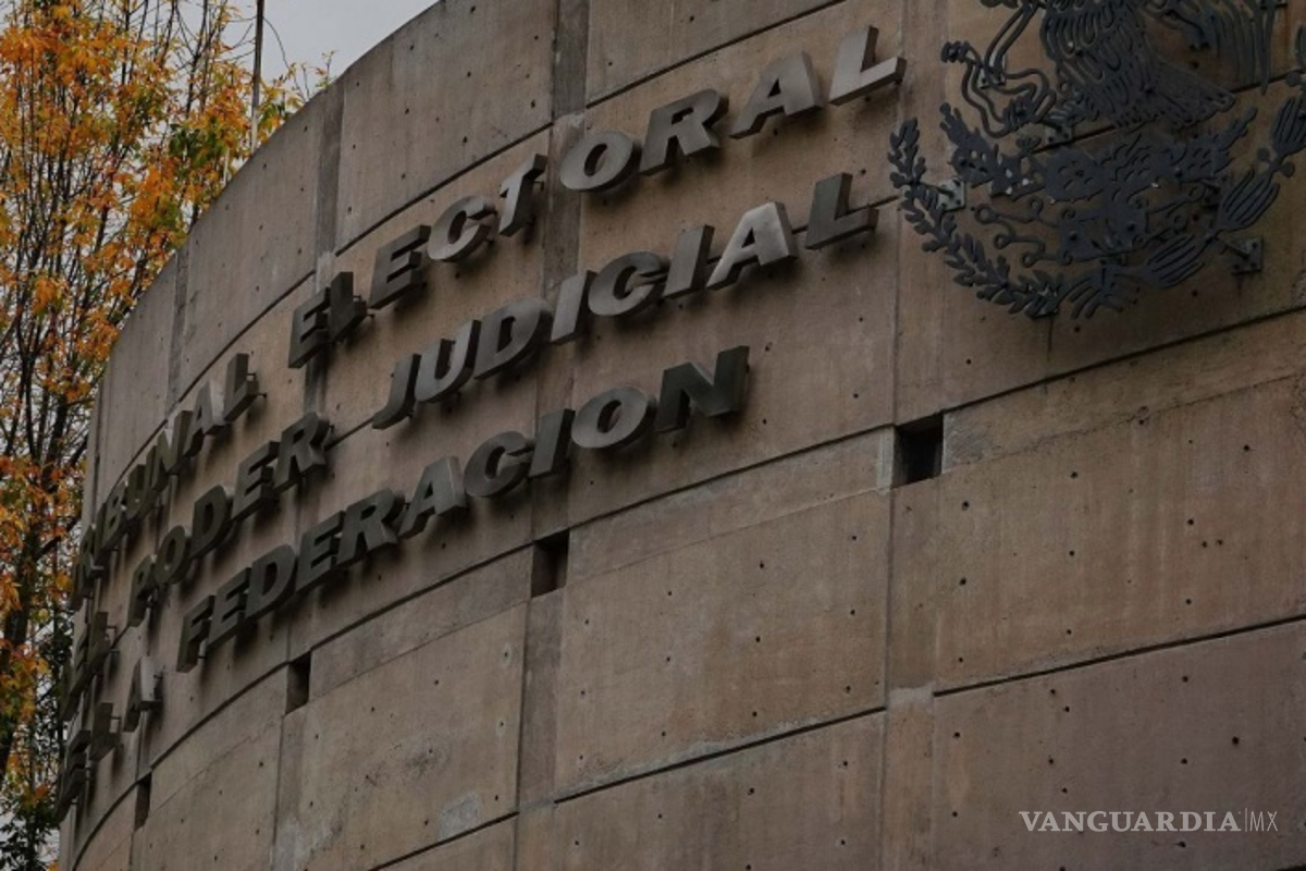 Tribunal Electoral recibe alud de quejas de partidos; Sheinbaum, Gálvez y Noroña entre señalados