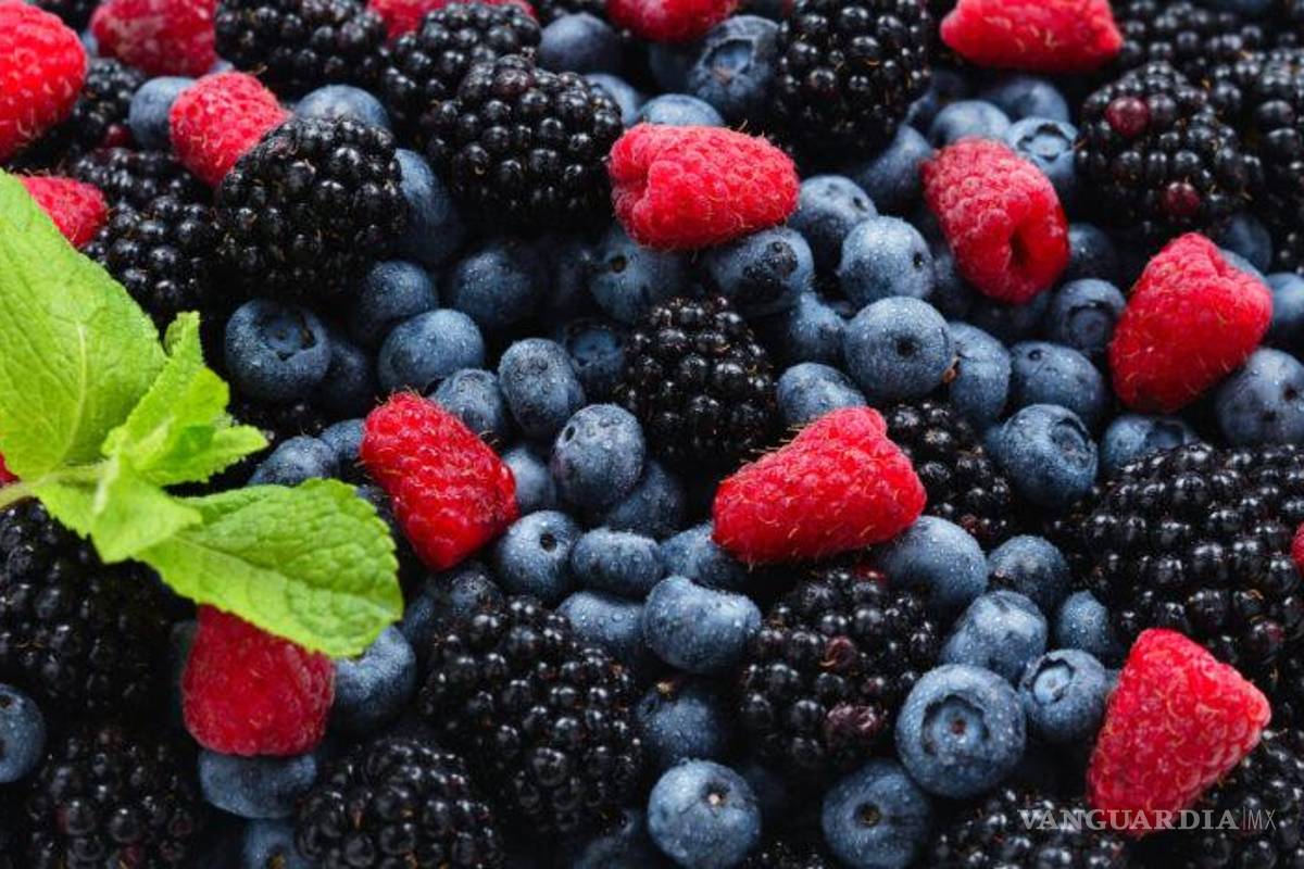 Disminuyen exportaciones mexicanas de berries, jitomate y chiles de enero a octubre