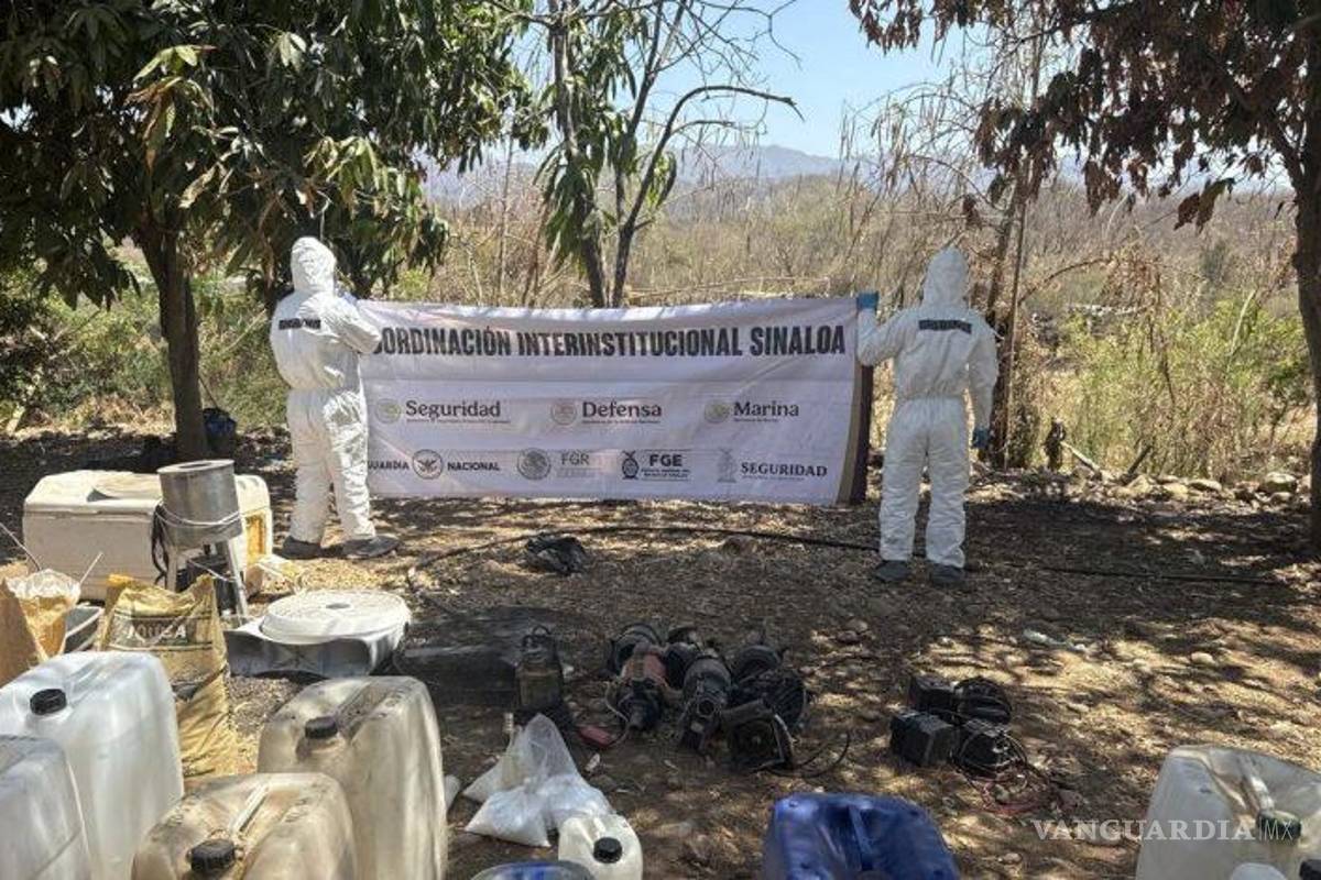 Destruyen militares 20 laboratorios clandestinos en Sinaloa