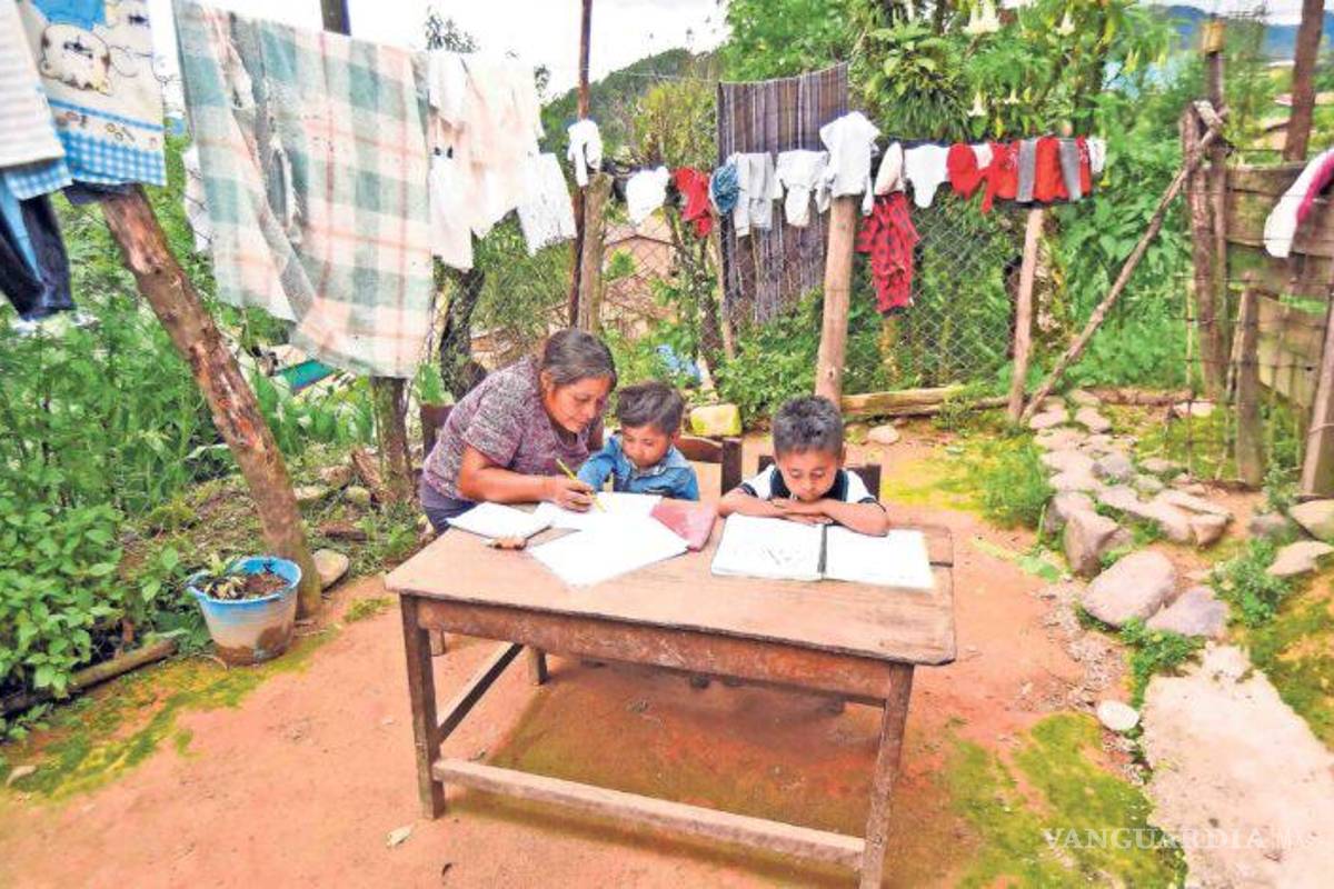 Asegura Coneval que becas a estudiantes son insuficientes y son destinadas a la alimentación