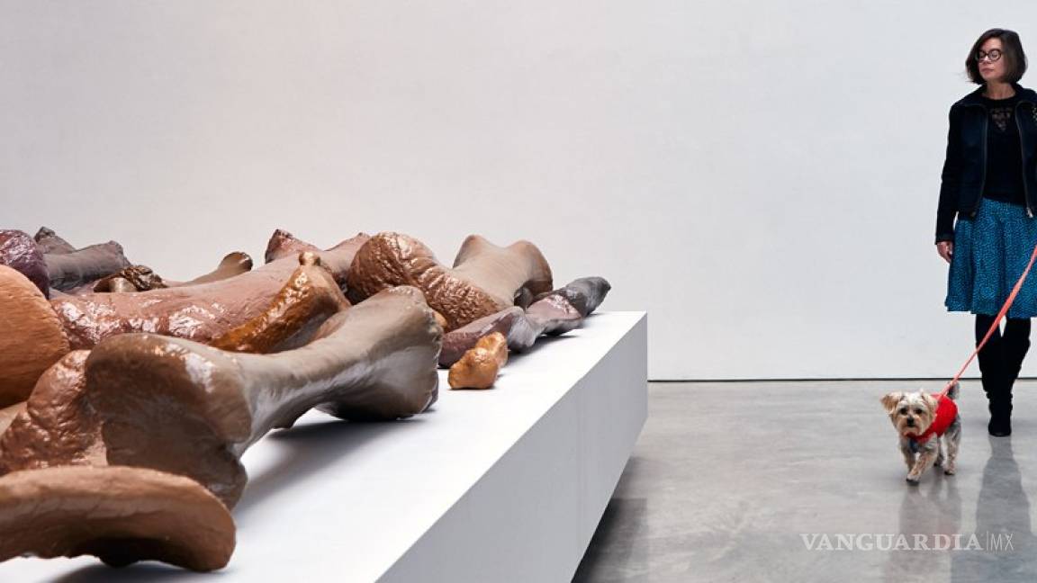 $!"Dogumenta", una exposición de arte para perros en Nueva York