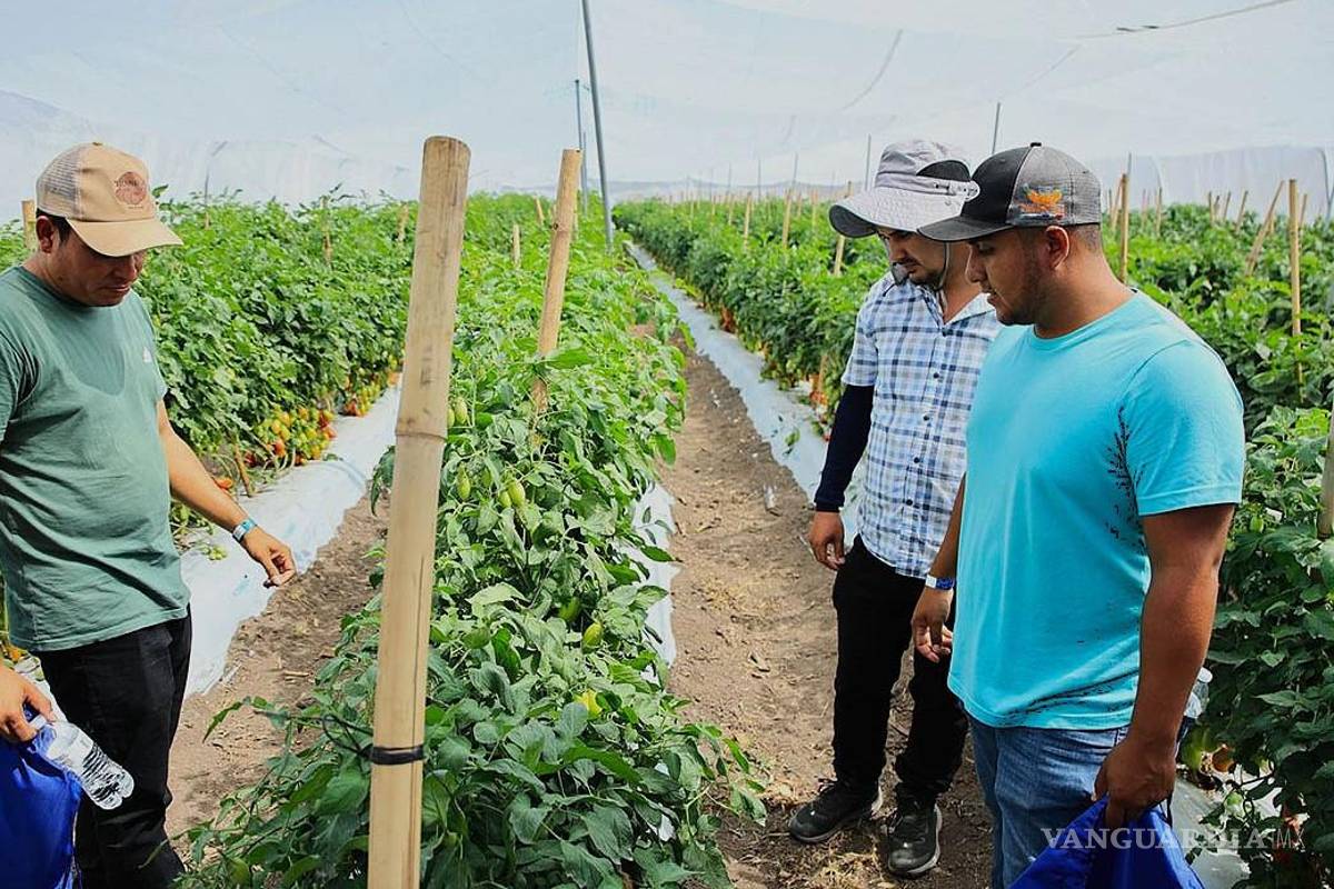 Todo listo para que arranque el 1er Encuentro Nacional de Egresados de Horticultura UAAAN 2025, en Saltillo