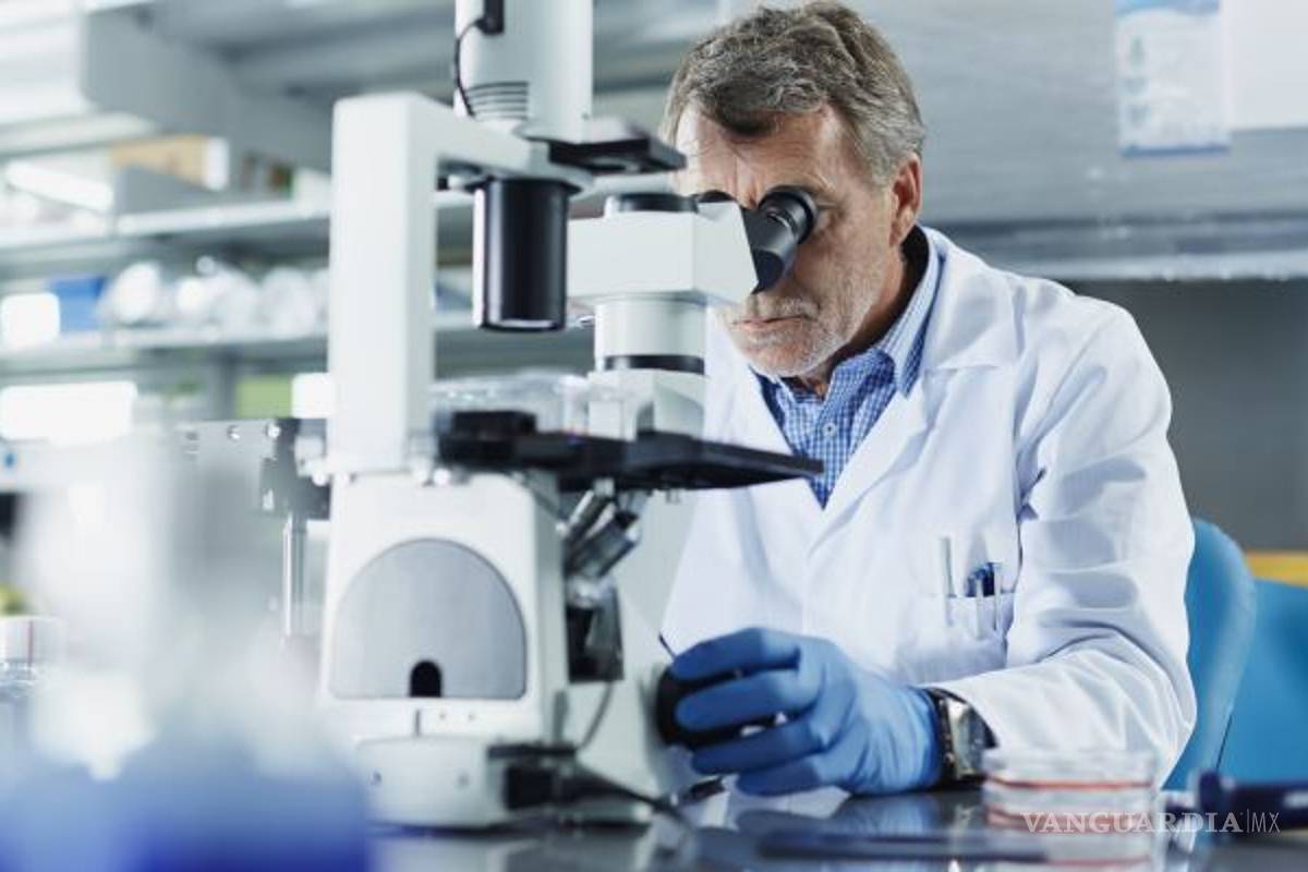 Crean anticuerpos efectivos contra el ébola