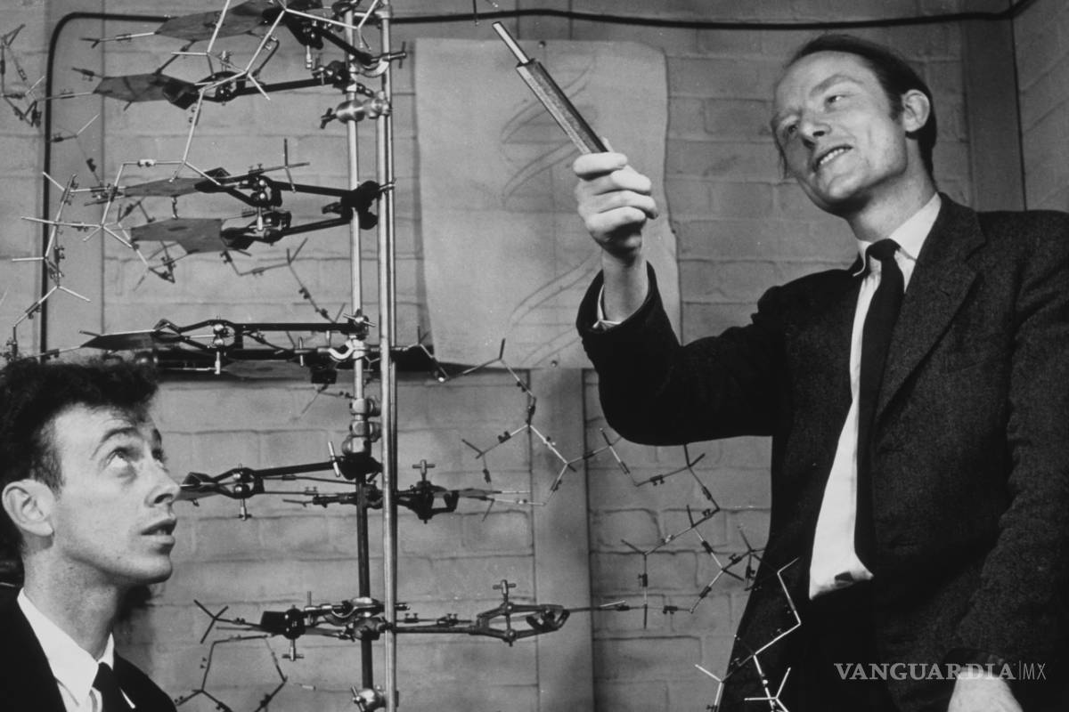 A 65 años del descubrimiento de la estructura del ADN