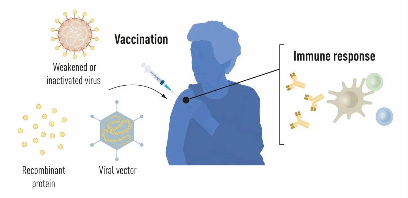 $!Métodos de producción de vacunas antes de la pandemia de COVID-19.