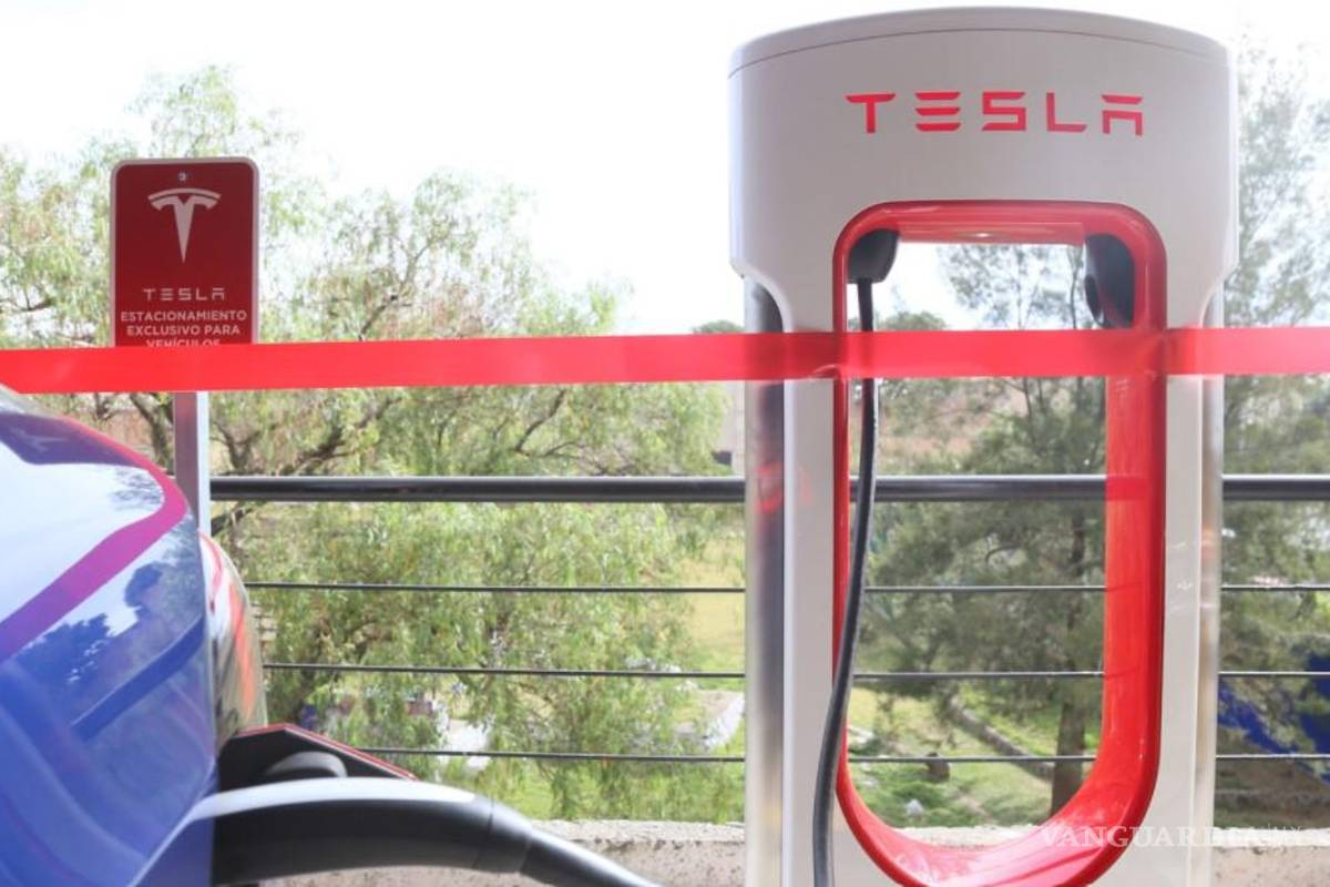 La planta Tesla en Santa Catarina, ¿un proyecto en riesgo de ‘evaporarse’?