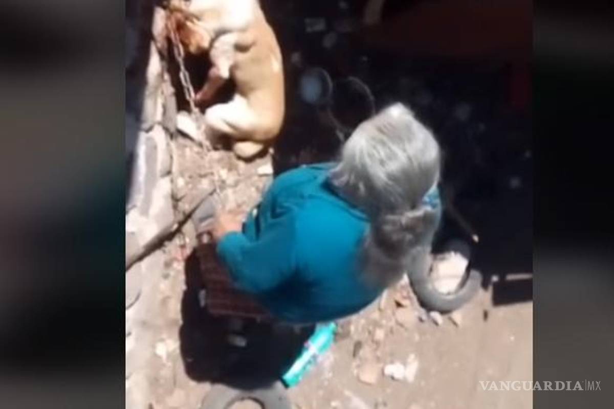 Reviven video de anciana que mata a perrito a martillazos en Querétaro; a un año, no hay sanción