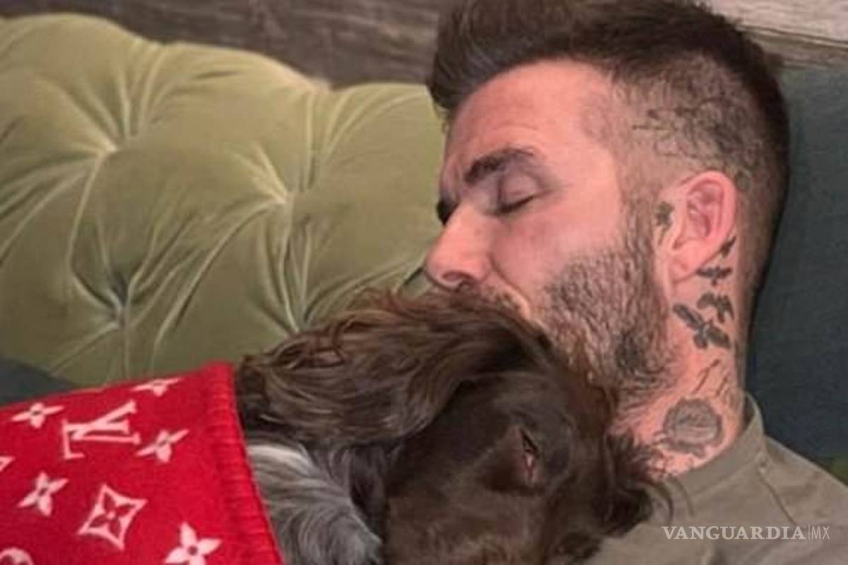 ¡Humilde! David Beckham, cubre a su perro con una cobija de 5 mil dólares